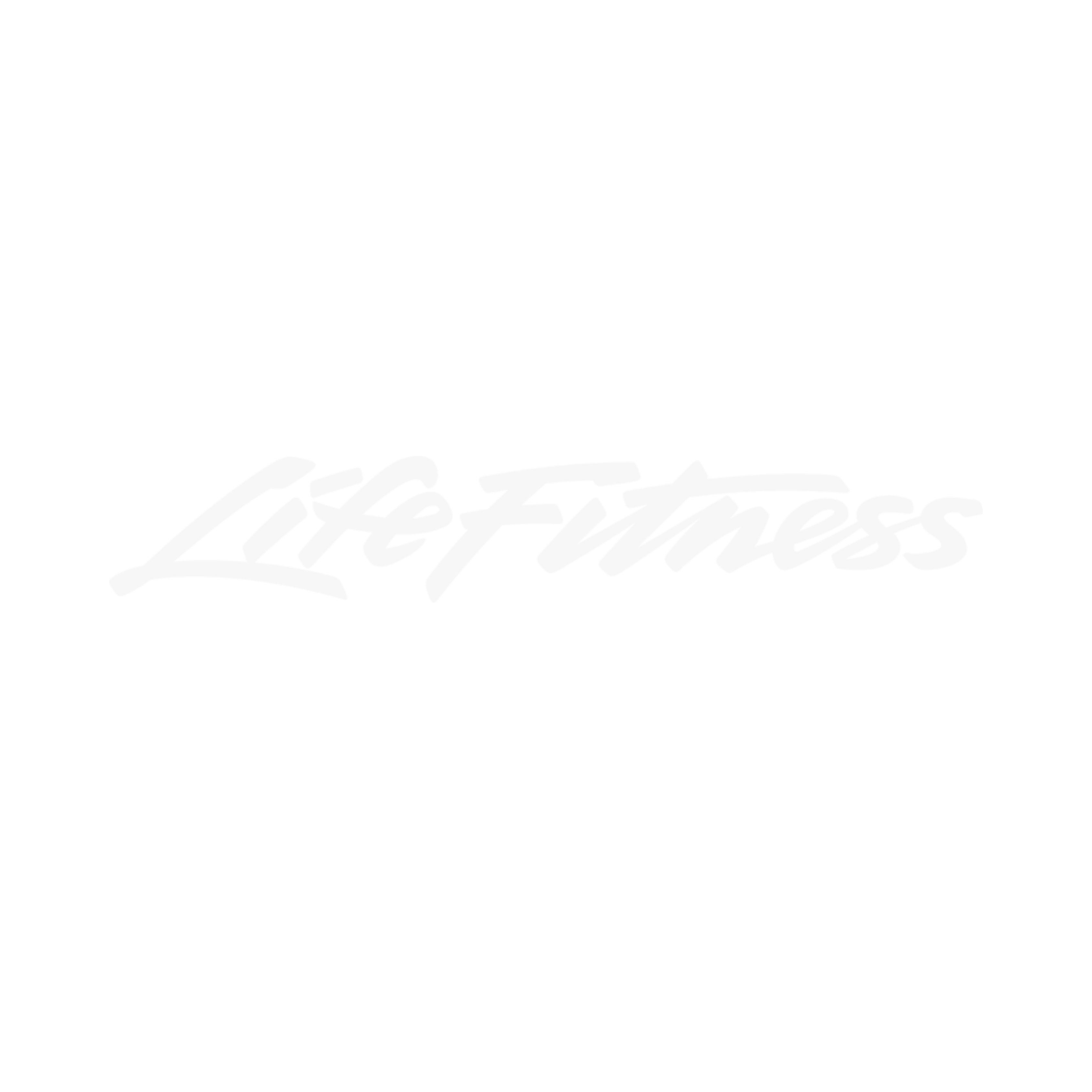 Life Fitness